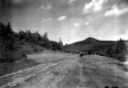 Horse and Carriage on Mountain Road in Sherburne