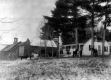 House With Horses and Barns