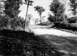 Country Road