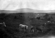 Stratton Mountain - from Melandy Hill South Londonderry