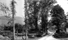 View of Route 11 and Glebe Mountain