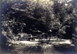Cold Spring
