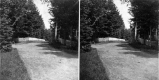 Grounds at Sir Hugh Allan's Summer Residence