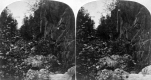 Abandoned Stream Bed