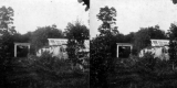 Garden and Greenhouse