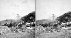 View from Study of Summit House