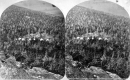 View of Logging Camp and Evergreen Forest