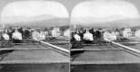 Town and Gardens below Sterling Mountains