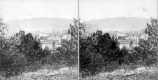 View of Village Through Trees