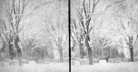 House in Winter