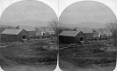 View of Farm and Cows