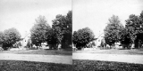 House with Trees in Front