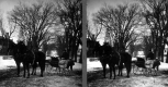 Horse and Sleigh