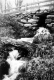 Stone Culvert and Falls