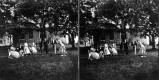 The Croquet Game