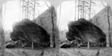 Bingham's Rock, Smuggler's Notch