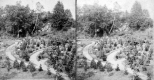 View of Gardens at Underclyffe