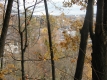 Vermont College Through Trees