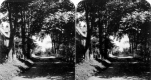 The Residence of J. W. Wood 