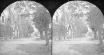 View Down a Street