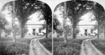 House Between the Trees