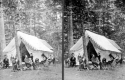 Camping Party in the Forest