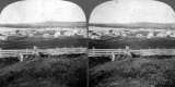 View of Town from Hill