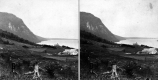 Cleared Slope Near Willougbhy Lake