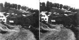 View out of Gold Miners' Glen