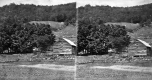 Farmstead and Stone Wall
