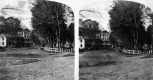 View of Street and Park