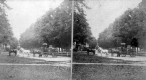 Horse and Wagon on Street