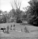 Horse Show