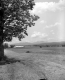 Country Scene
