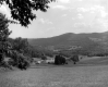 Farm in the Country