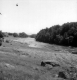 Bend in the River