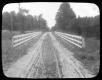Country Road Between Fences