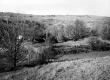 House Hidden By Trees with Pastures on the Right