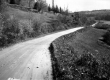 Dirt Road with Fields