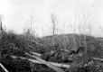 Hurricane Damage
