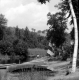 Boating on a summer day