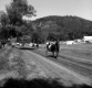 The Races