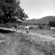 A Farm