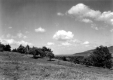 Field with Trees and Mountains