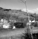 A View of the Village