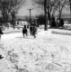 Winter Carnival