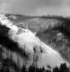 Winter Carnival Skiing
