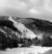 Winter Carnival Skiing