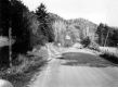 Fork in a Dirt Road