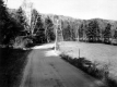 Bend in the Road